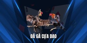 Đá Gà Cựa Dao